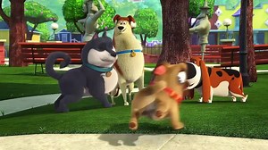 Puppy Dog Pals Season 5 - Intro