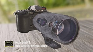 4.1K views · 36 reactions | Introducing the newest member to our...