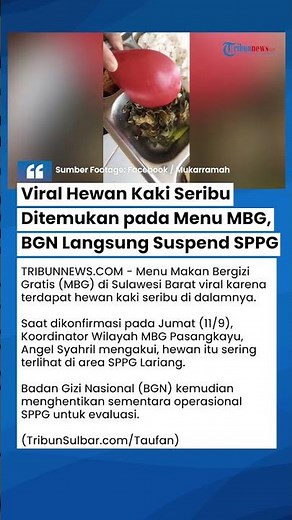 Viral Video of MBG Menu in West Sulawesi Contaminated with Millipedes, BGN Imposes Strict Sanctio...