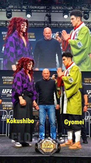 Demon Slayer in UFC fight