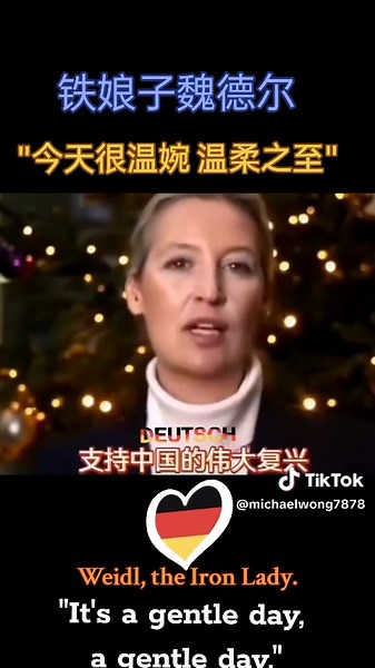 德国政治动荡与铁娘子魏德尔的演说