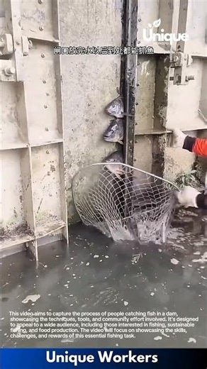Catching fish in a dam: people catching fish in a dam