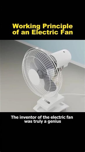 Working Principle of an Electric Fan #knowledge #shorts