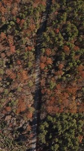 Keep the Go-Bag Ready My go-bag’s always stocked with Huk Gear essentials—ready for anything the outdoors throws at me. These are my go-to picks for the season. Gear up and get ‘Go-Bag Ready’ at hukgear.com #hukgear | Lee Livesay BASS Elite