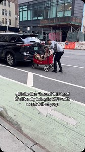 Someone on Tik Tok had a pug celebrity spotting of @otisthepugwalsh and his grumble with Carolee the owner in NYC! 🤣🐾🐾🐾 TT elise_carlin | SpeakPug