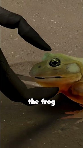 What Happens When a Frog Meets a Tarantula? 🐸🕷️ | Nature’s Strangest Encounter