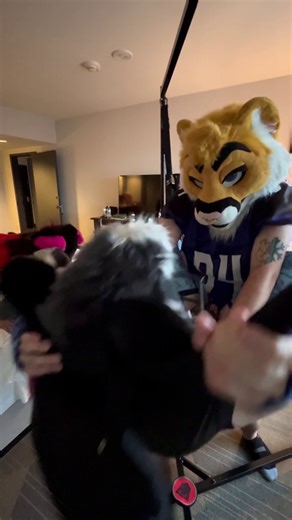 RT @Sly_CougarAD: When you need a good dicking as a cougar, you can always look to your fellow cougar brethren for help. Luckily, @CougInYo…