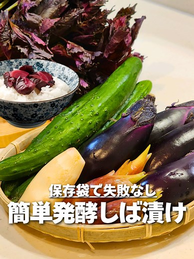 簡単発酵しば漬けの作り方