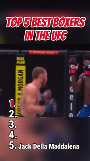 Top 5 Best Boxers in the UFC: Elite Fighters