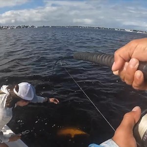 Arguably the Strongest fish in the Ocean! | Yakin With Jack