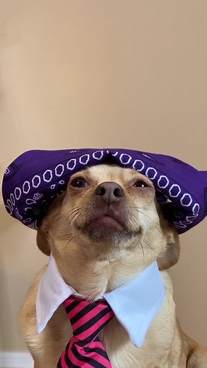 The Worst Part About Prison: Exploring the Humor of The Office's Prison Mike