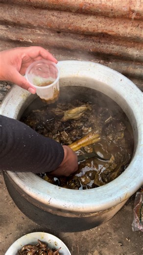 Ultimate Slow-Cooked Recipes for Flavor Lovers