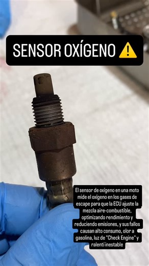 Motogruachillan on Instagram: "SENSOR DE OXÍGENO ✅ #chillan #chillanviejo #mantencion #motos #Honda #Yamaha #Suzuki #Kawasaki #Ducati #BMW #KTM #Triumph #HarleyDavidson#RoyalEnfield #Aprilia #Benelli #Keeway#GasGas #Husqvarna#Bajaj #Zongshen #UMMotorcycles #MotoMorini"