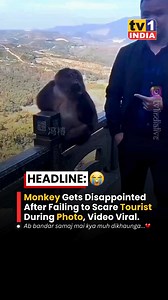 Monkey Gets Disappointed After Failing to Scare Tourist During Photo !! . . #monkeys #funny #tourists | Tvone India Live