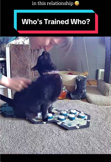 Vashta really runs this household and we all know it. 🐈‍⬛👑 #talkingcat #petsoftiktok #fluentpet #catsoftiktok #cat