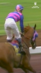 11K views · 273 reactions | Jim Gibbs: the man who hadn't realised he'd won the Melbourne Cup!  #MelbourneCup | World Horse Racing | Facebook