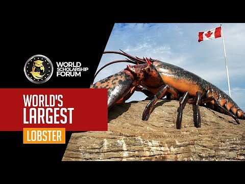 World’s Largest Lobster