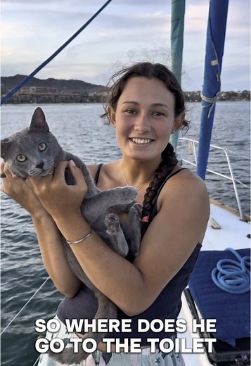Living with Our Cat on a Boat Adventure