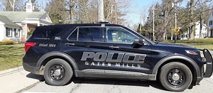 Fallen tree blocks road: Gates Mills Police Blotter