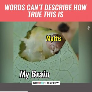 😖😭😖😭😖 | FilterCopy