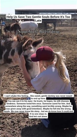 “Help Us Save Two Gentle Souls Before It’s Too Late”