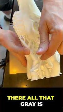 Bambu H2D Dual Nozzle Dual Material Support Interface Test! #3dprinting #bambulab #3dprinter #h2d