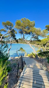 FIERDUSUD | JE SUIS SEUL SUR L’ÎLE DE PORQUEROLLES EN PLEIN JUILLET ? ⬇️ Petite astuce pour mes abonnés ! ☀️ Je vous conseille de séjourner sur l’île... | Instagram