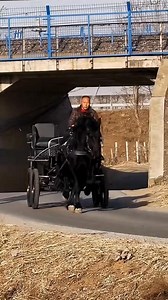 How does work the new age Chariot ! #facts #factsinhindi #factsdaily #shorts #rochaktathya #gajabtathya | 4Facts