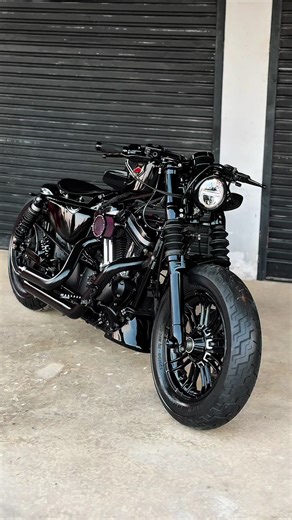 2019 Harley Davidson Sportster 48 Review & Pricing