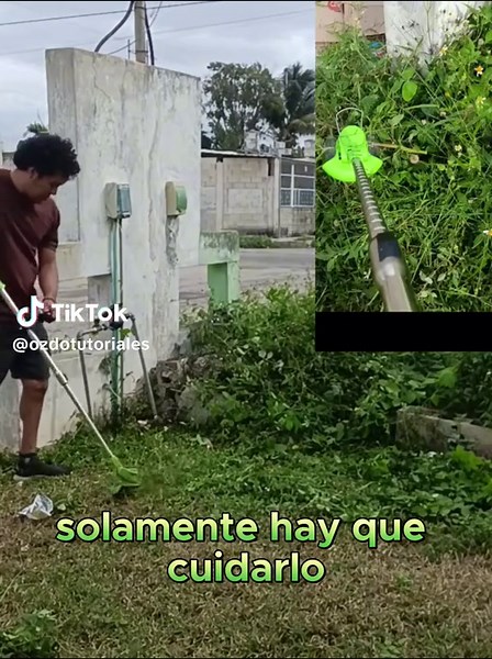 Revisión de desbrozadora eléctrica: ¿Vale la pena?