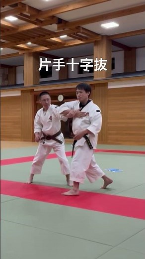 片手十字抜 #少林寺拳法