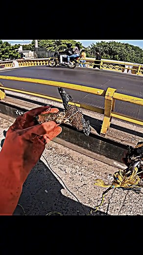 #edit #pescamagentica #raulzeiratv | JovemNiil