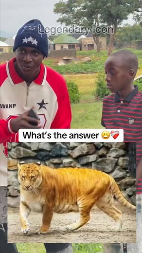 5.8K views · 81 reactions | Wh@ts the answer #Legendary | Legendarry | Facebook