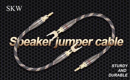 Watch SKW speaker jumper cable on Amazon Live
