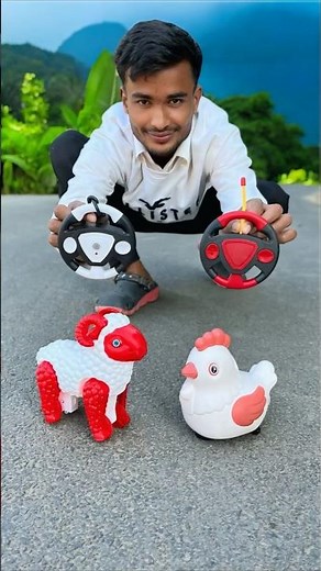Remote Control 1 Goat And 1 Rc Chicken murgi Unboxing 😱