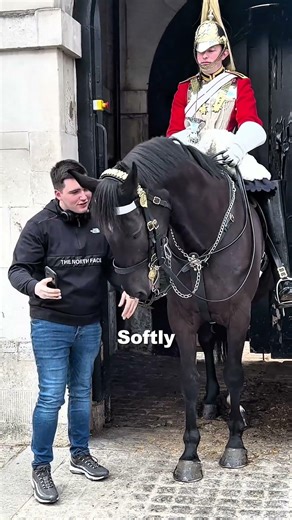 This Horse Never Forgot His Guard 🐎❤️