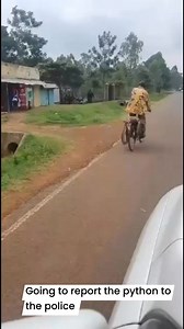 Going to report the python to the police | Churchill Show