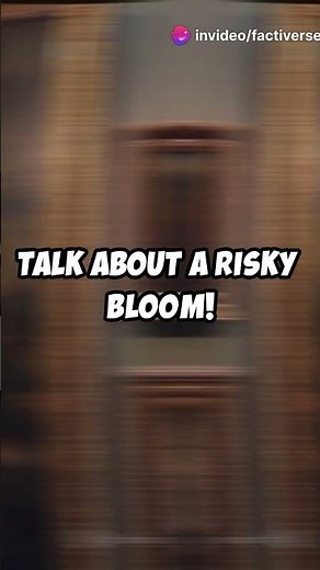 Mind Blowing Facts About Van Gogh's "Poppy Flowers"