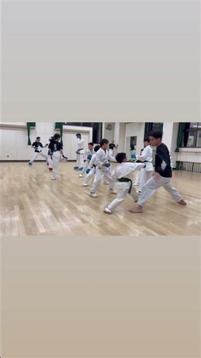 Inside a Traditional JKS Karate Dojo 🇯🇵 Kumite Sparring #shorts