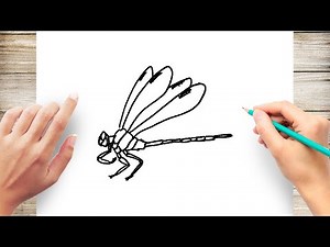 How to Draw Dragonfly Step by Step for Beginners Slow and Easy