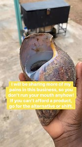 Only real snail farmers can relate! Others are snail vendors!. Sizes of snails available: Medium 200,000 Large :300,000 Jumbo :400,000 Extra jumbo: 500,000 All by 100 pieces. We ship to Uk, USA, and Canada. . Please note that this snails comes export standard dried. #snails #farming #explorepage | Joks Snail Farm