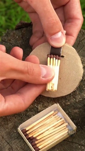 🚫 Mosquito Expert’s Secret Trick! 🦟 You’ll Wish You Knew This Sooner