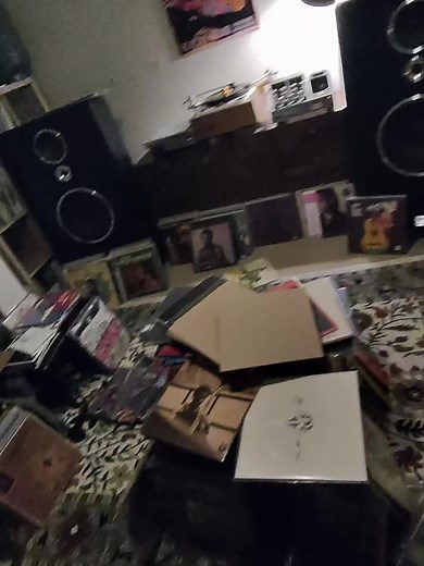 The Joy of Vinyl Collecting: A Beginner's Guide