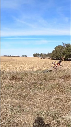 tried catching a pheasant by hand 😂 #hunting #gunnation #tiktok #outdoors