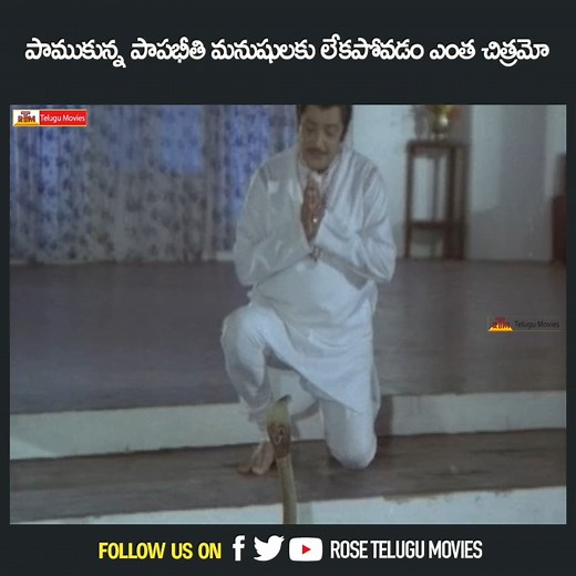 పాముకున్న పాపభీతి మనుషులకు లేకపోవడం ఎంత చిత్రమో | Narasimha Raju | KR Vijaya | Rose Telugu Movies