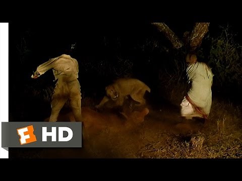 Out of Africa (3/10) Movie CLIP - Lions Attack Karen's Ox (1985) HD