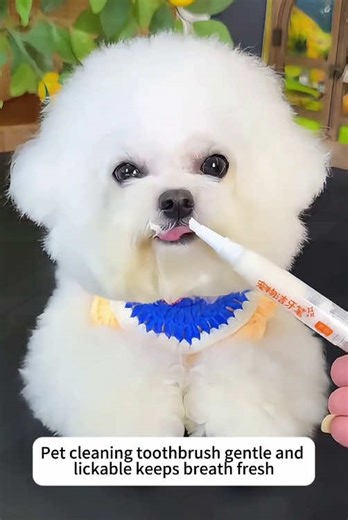 Pet Toothbrush Pen #dogteeth #dogproducts #brushingteeth #dogs #dogsoftiktok#tiktokshop #fyp