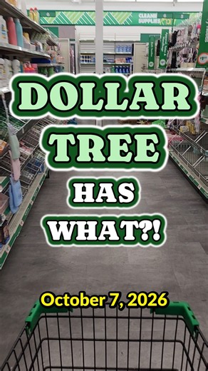 DOLLAR TREE HAS WHAT?? | October 7, 2026