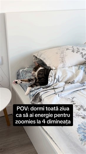 Madalina Stan pe TikTok