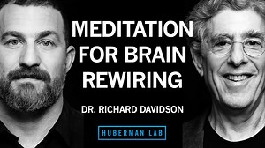Science-based meditation tools to improve your brain & health | Dr. Richard Davidson